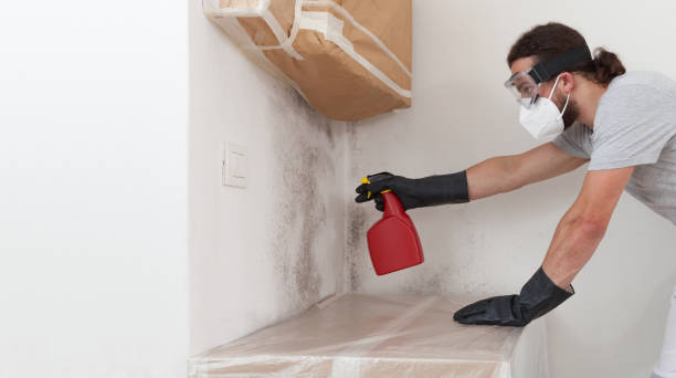 Professional Bathroom Mold Removal technician working in Dover, NJ