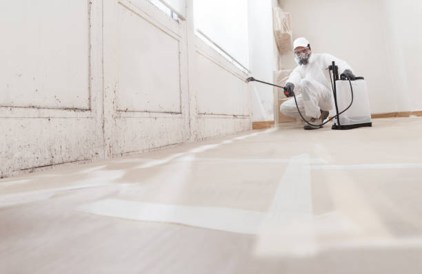 24/7 Emergency Bathroom Mold Removal experts in Dover, NJ